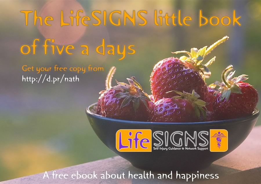 Little Book of Five a Days – free eBook!